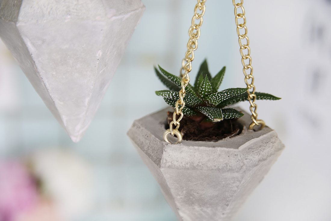 DIY Beton-Diamant als Plant Hanger für Mini Kakteen