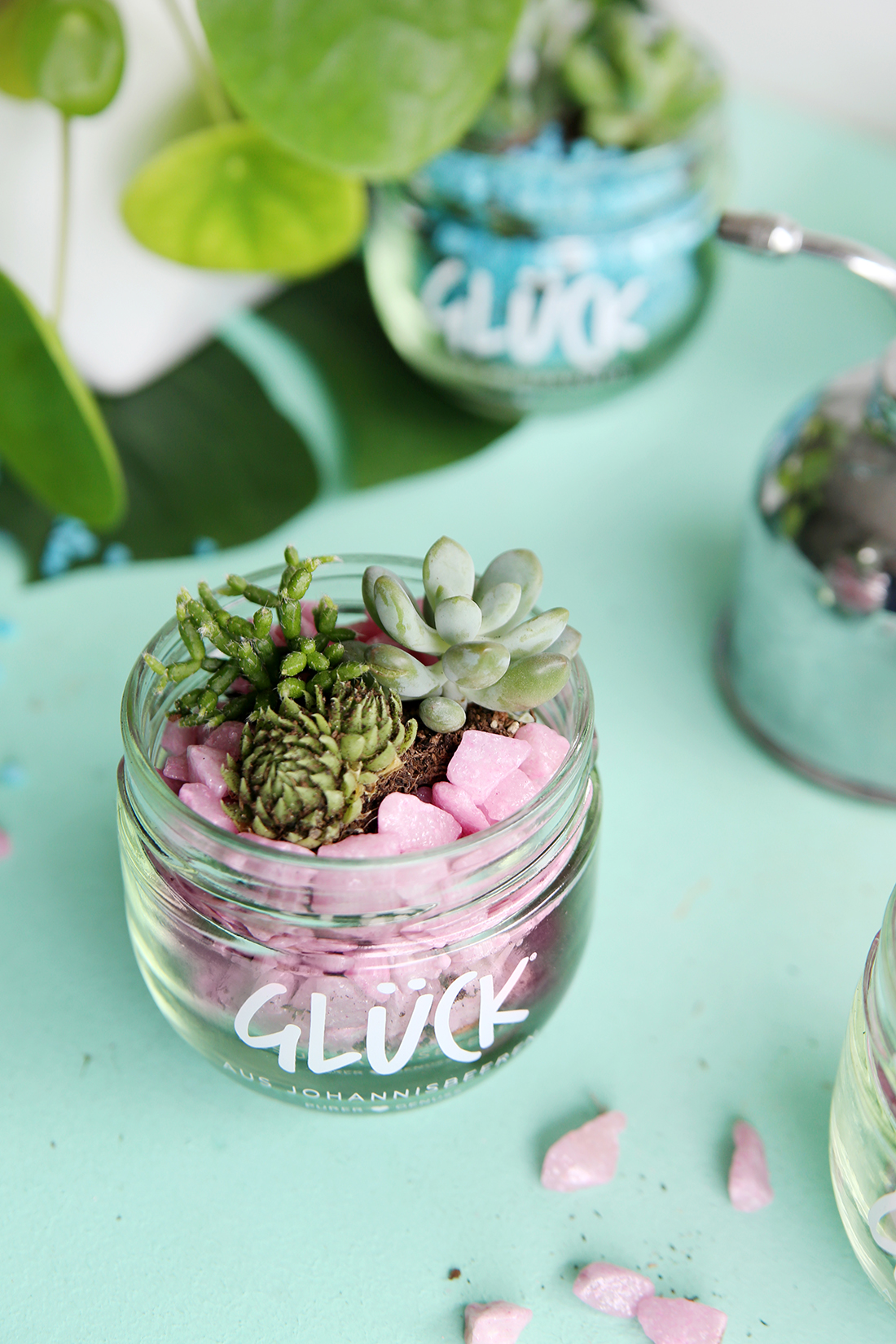 Kaktus im Glas - Deko DIY - pinselleicht - einfaches Hand Lettering für  jeden!