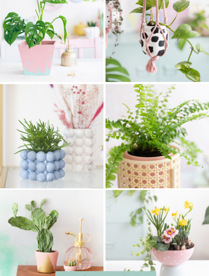 10 kreative DIY-Ideen rund um Pflanzen