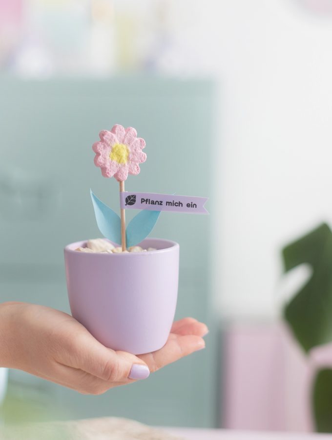 DIY Geschenk: Blume aus Papier mit Saatgut