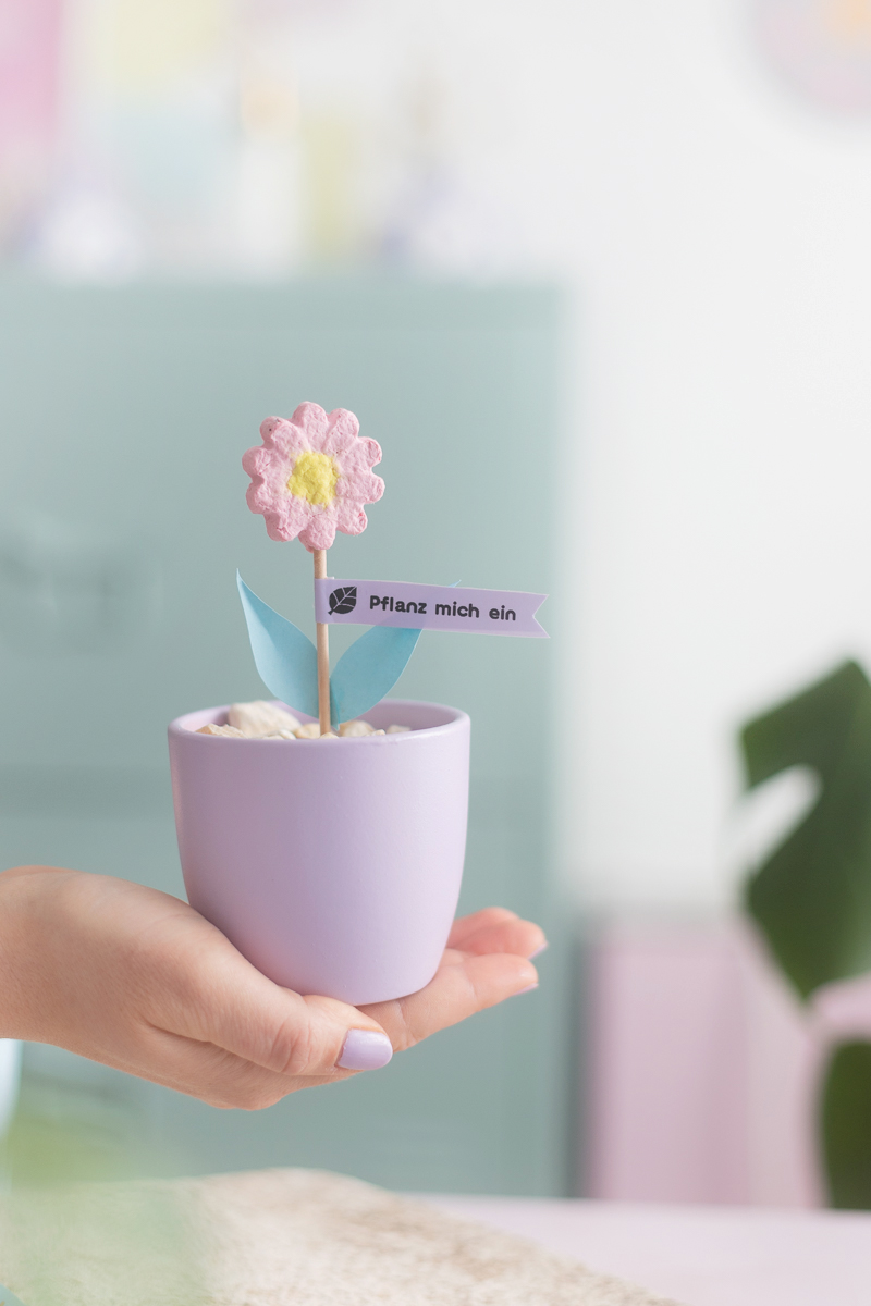 DIY Geschenk: Blume aus Papier mit Saatgut
